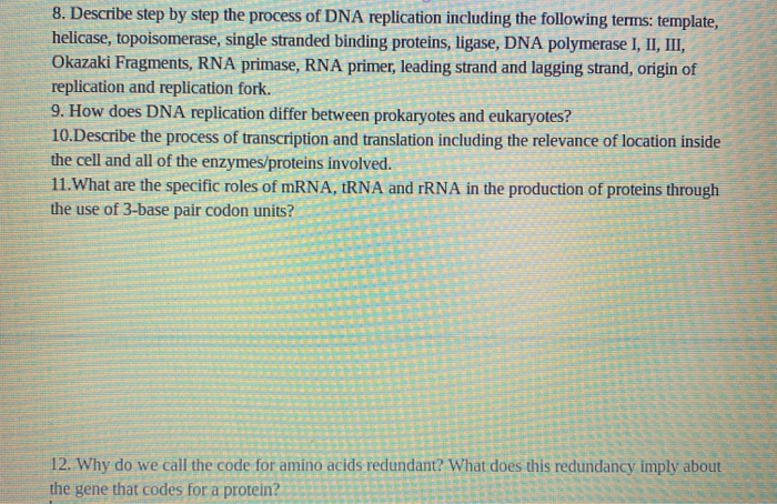 Solved 8. Describe step by step the process of DNA | Chegg.com