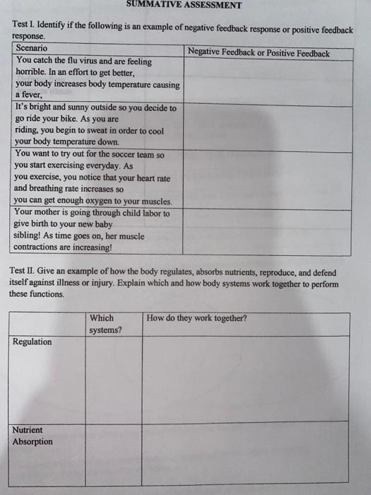 Solved SUMMATIVE ASSESSMENT Test 1 Identify If The Chegg