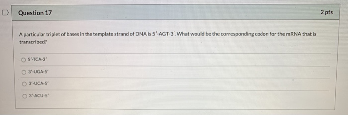 Solved Question 17 2 Pts A Particular Triplet Of Bases In Chegg