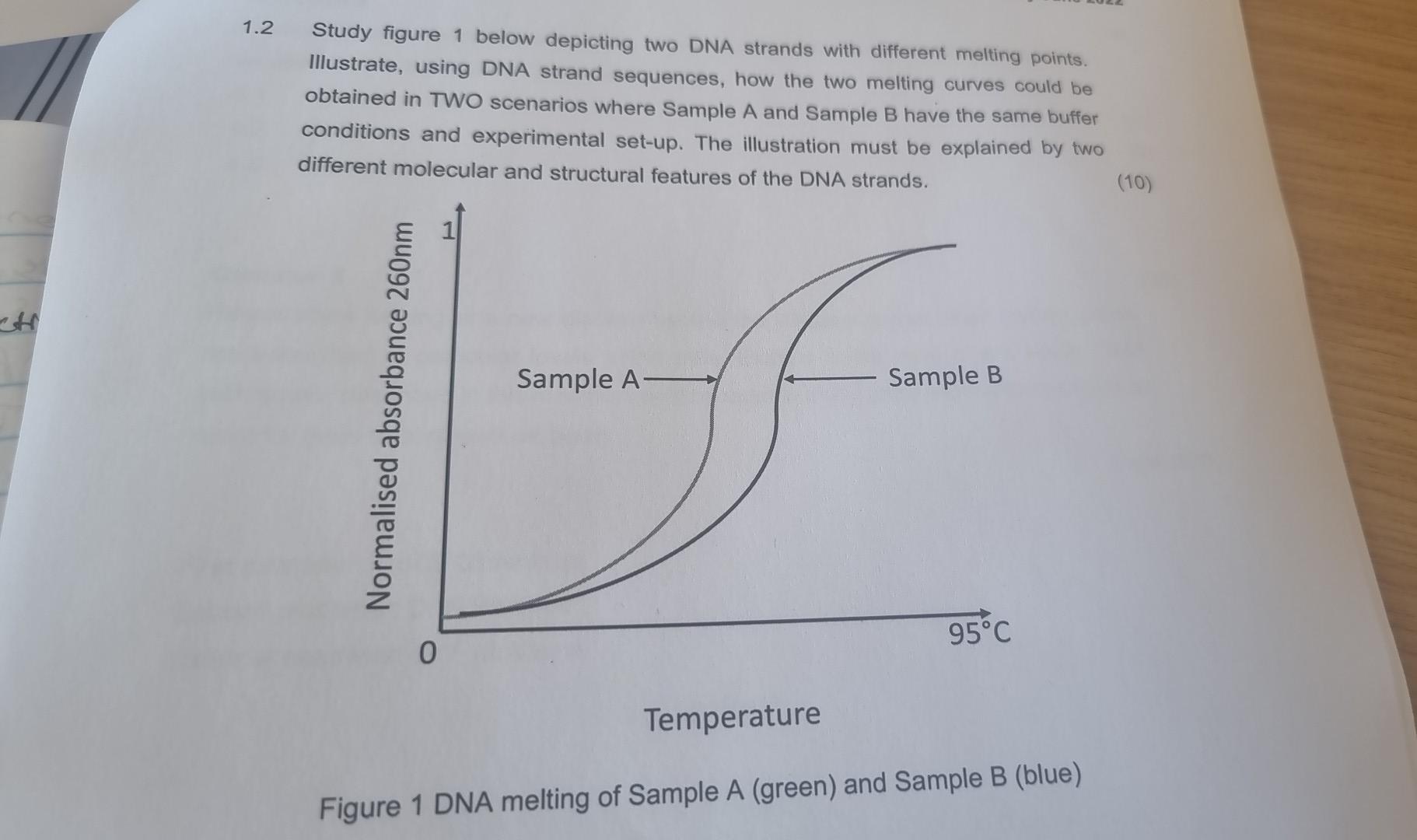 Solved 1.2 Study figure 1 below depicting two DNA strands | Chegg.com