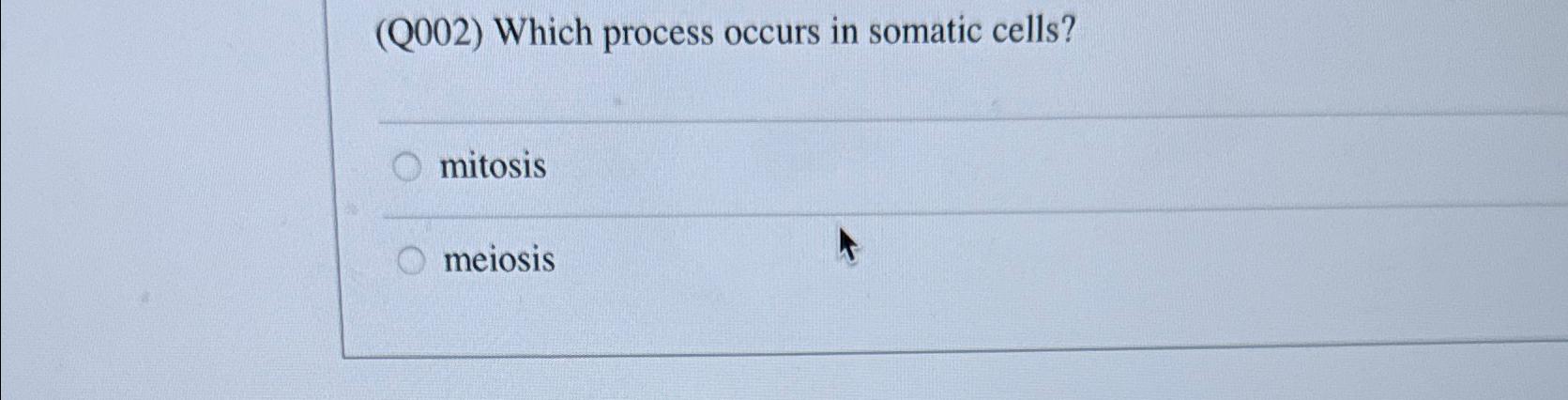 Solved (Q002) ﻿Which Process Occurs In Somatic | Chegg.com