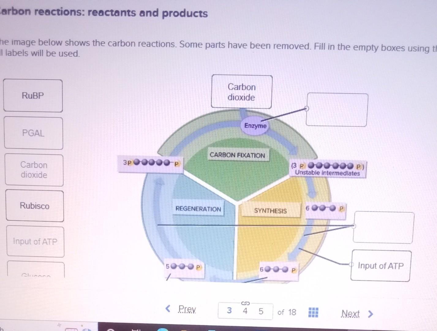 arbon reactions: reactants and products
e image below shows the carbon reactions. Some parts have been removed. Fill in the e