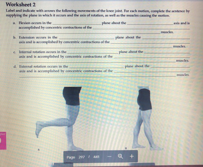 Solved Worksheet 2 Label and indicate with arrows the