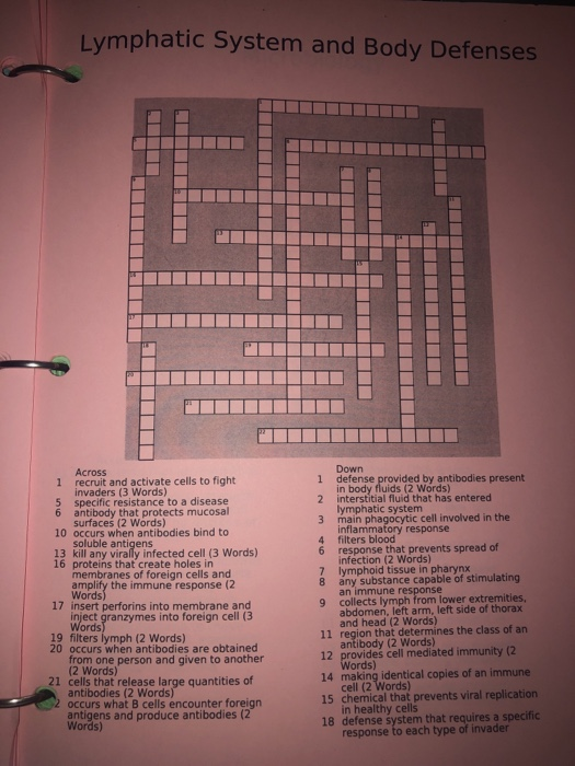 Lymphatic System And Body Defenses Across 1 Recruit Chegg 