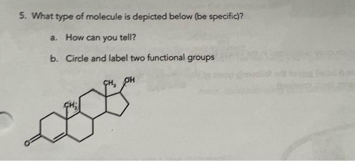 Solved 5. What type of molecule is depicted below (be | Chegg.com