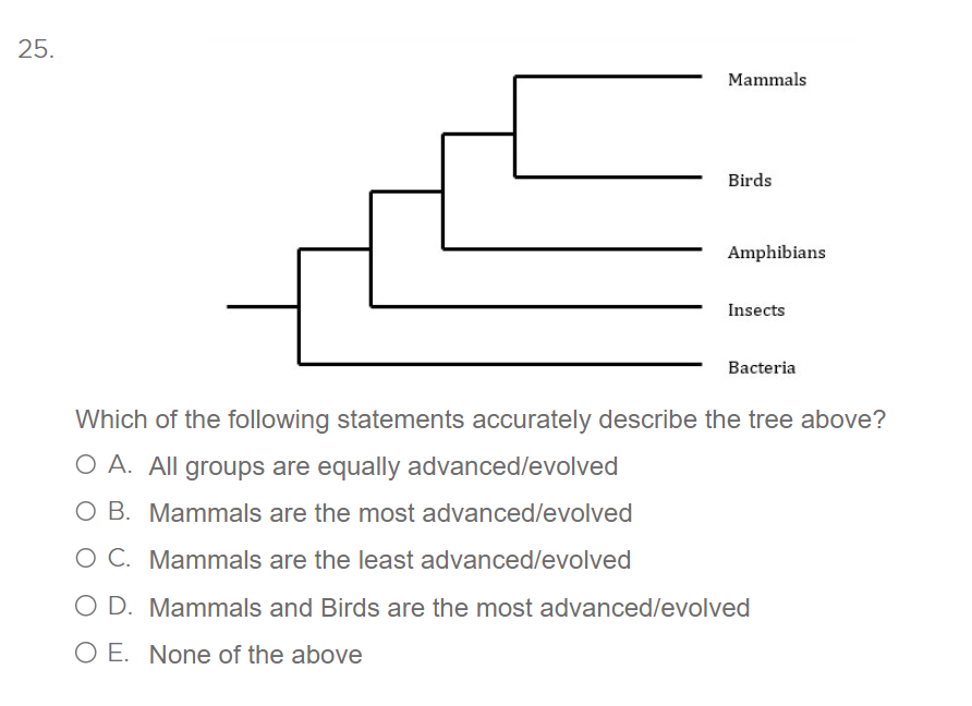 Solved Which of the following statements accurately describe | Chegg.com