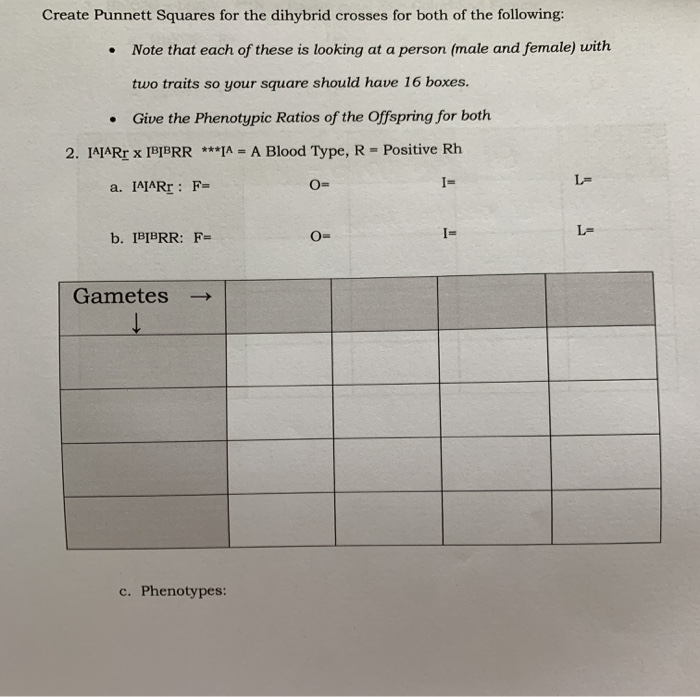Solved Create Punnett Squares for the dihybrid crosses for | Chegg.com
