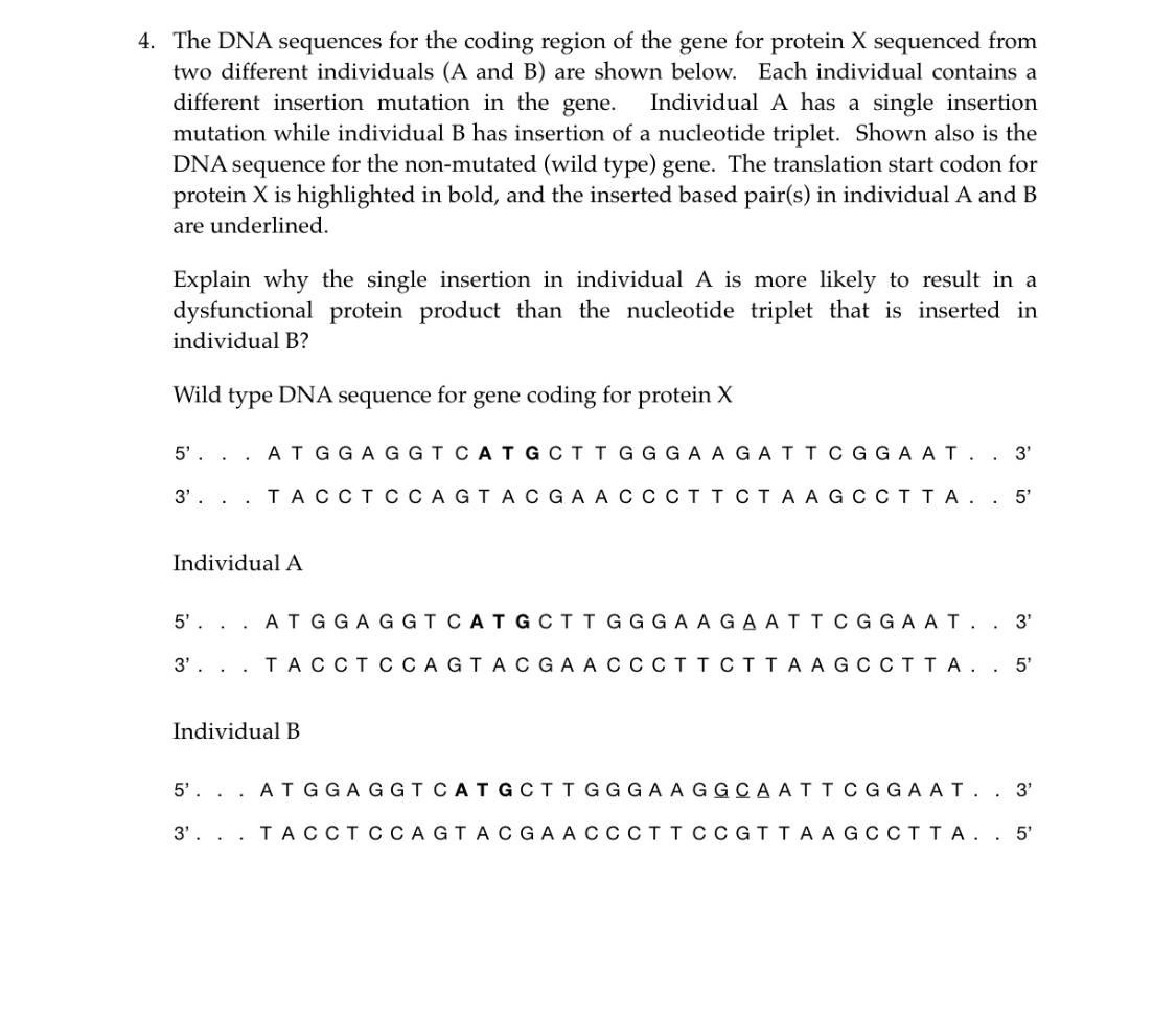 Solved The DNA sequences for the coding region of the gene | Chegg.com