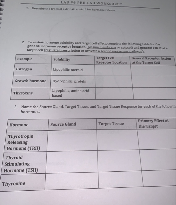 pre-lab-worksheet-free-download-gmbar-co