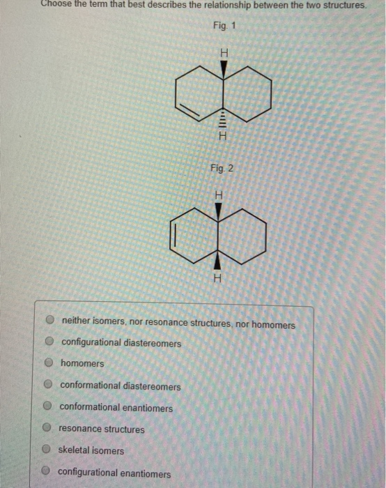 Solved Choose The Tem That Best Describes The Relationship Chegg Com