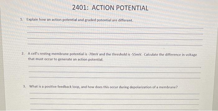 Solved 2401: ACTION POTENTIAL 1. Explain how an action | Chegg.com