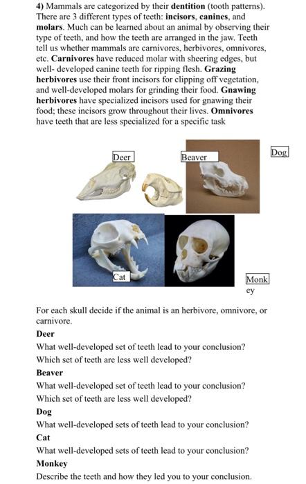 Solved 4) Mammals are categorized by their dentition (tooth 