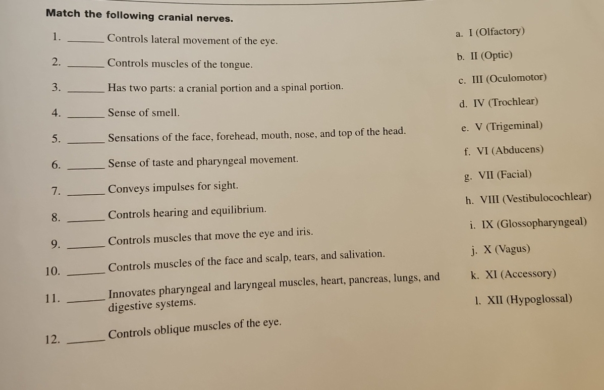 Solved Match the following cranial nerves. ﻿Controls | Chegg.com