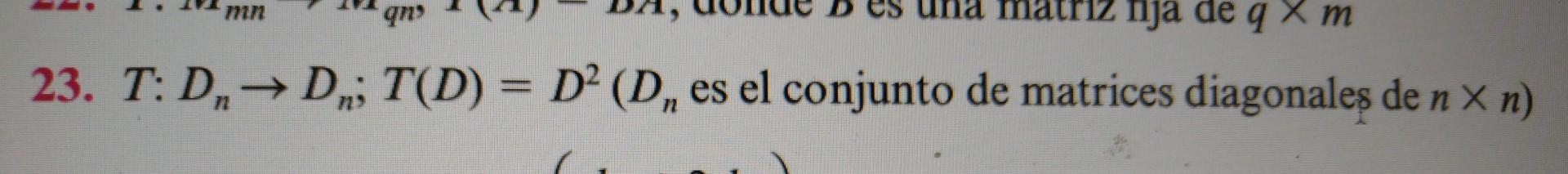 23. \( T: D_{n} \rightarrow D_{n} ; T(D)=D^{2}\left(D_{n}\right. \) es el conjunto de matrices diagonales de \( \left.n \time