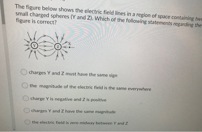 Solved The figure below shows the electric field lines in a | Chegg.com