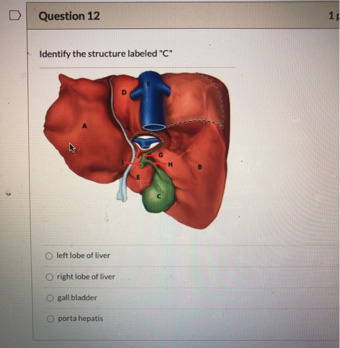 Solved Question 9 Identify the structure labeled "E" B E C D | Chegg.com