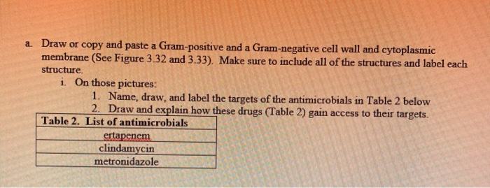 Solved a. Draw or copy and paste a Gram-positive and a | Chegg.com