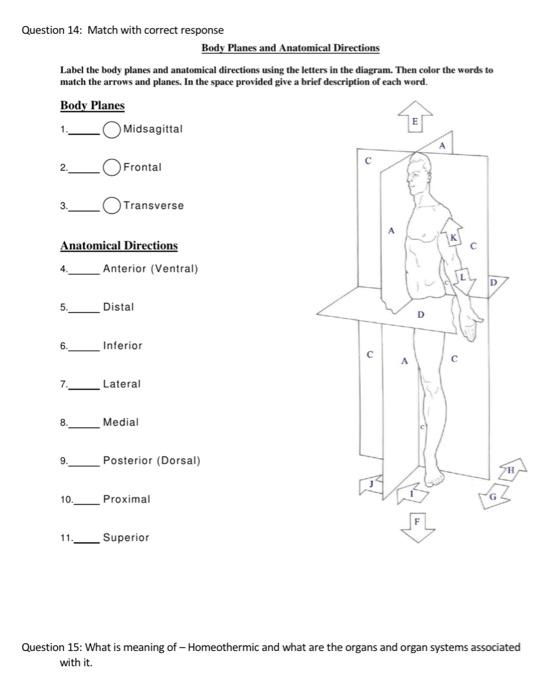 Solved Question 14: Match with correct response Body Planes | Chegg.com