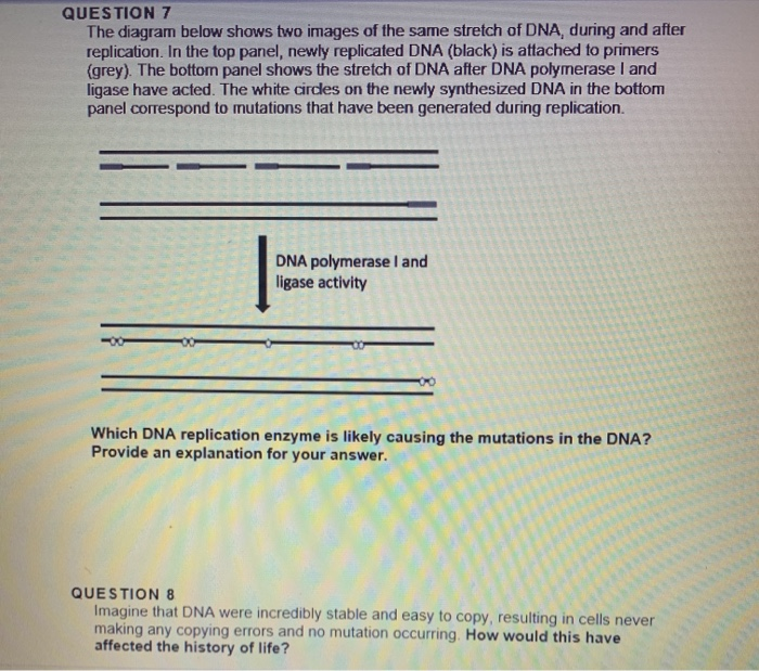 Solved QUESTION 7 The diagram below shows two images of the | Chegg.com