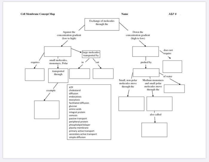 Solved Create A Concept Map Comparing Two Types Of Cartil Chegg Com