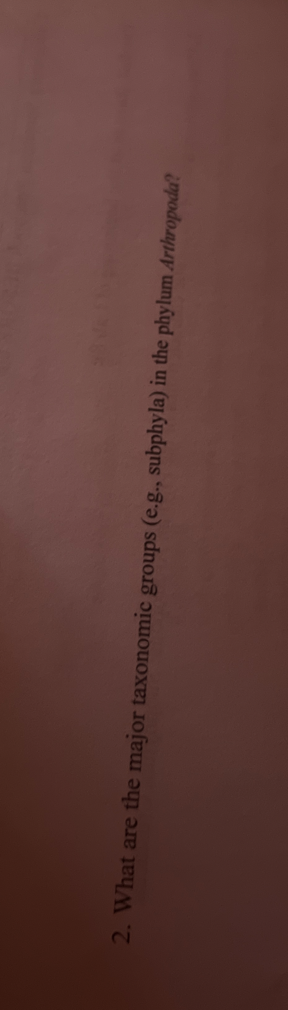 Solved What are the major taxonomic groups (e.g., ﻿subphyla)