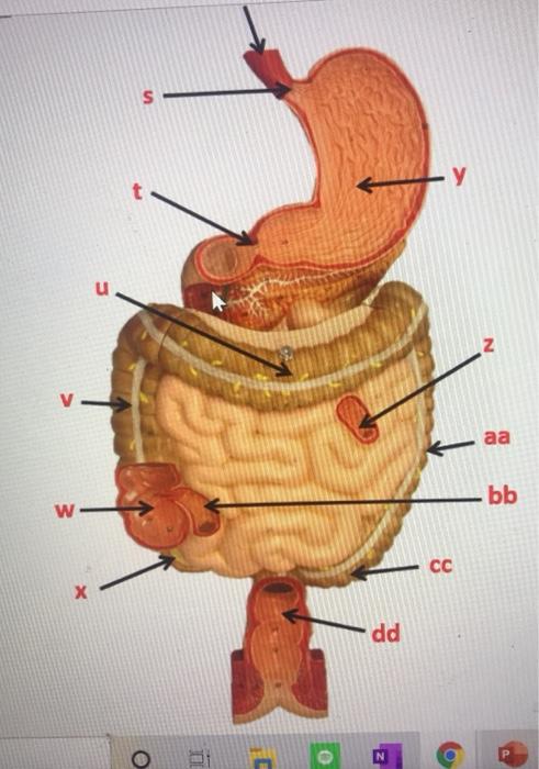 Solved Please Help Me With Letters D F G H K M N O U V A Chegg Com