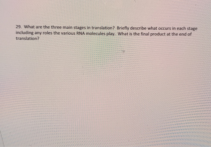 Solved 29. What are the three main stages in translation? | Chegg.com