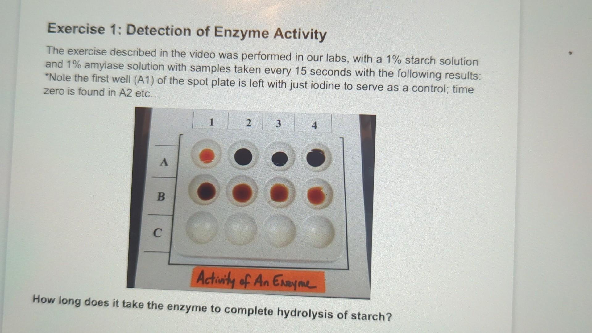 Solved Exercise 1: Detection Of Enzyme Activity The Exercise | Chegg.com