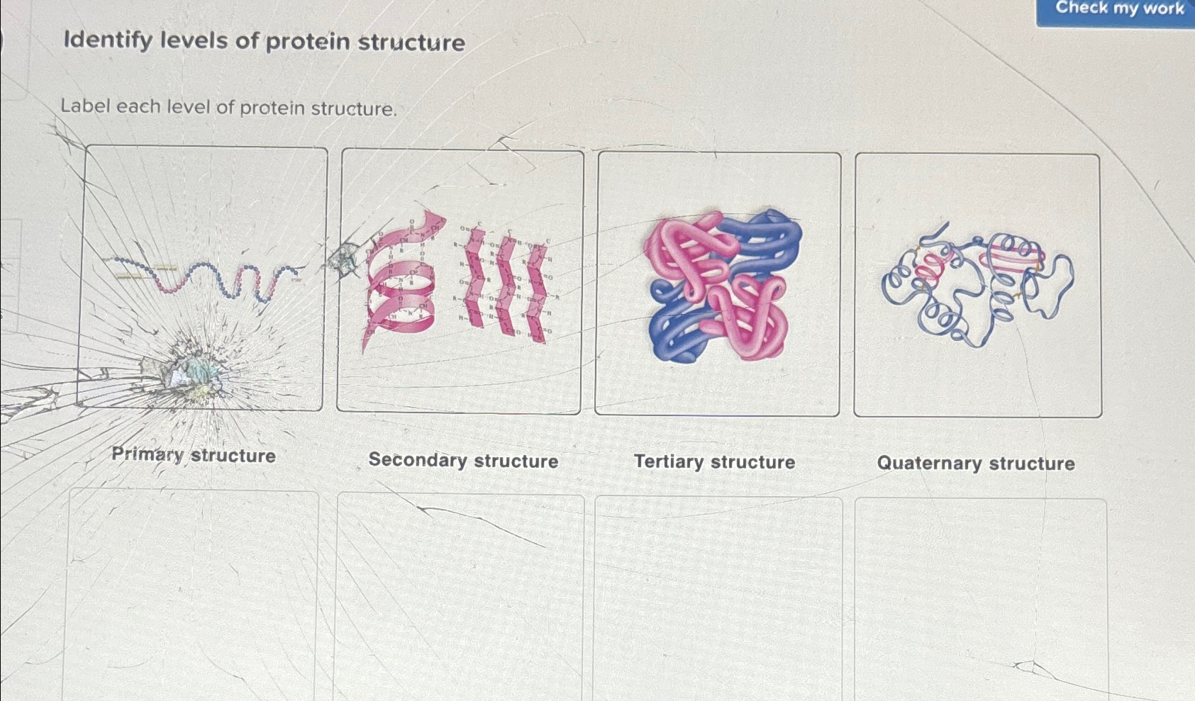 Solved Check my workIdentify levels of protein | Chegg.com