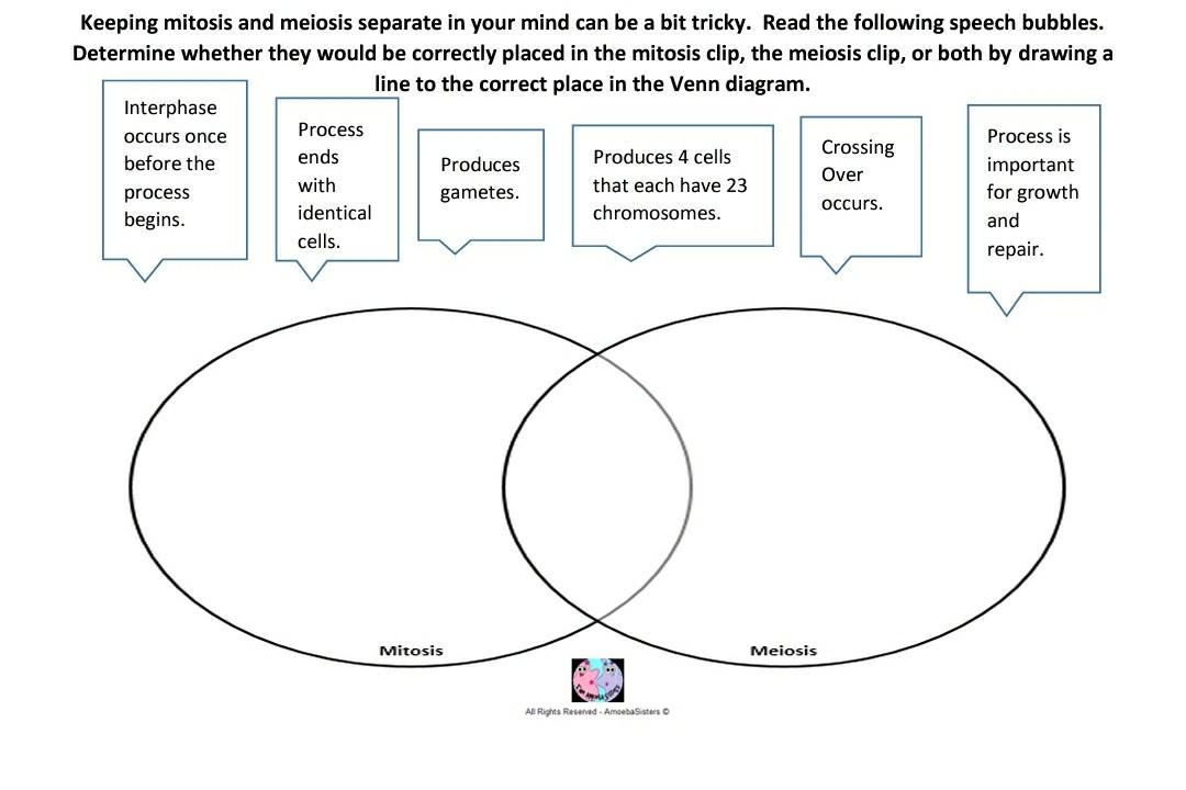 Mitosis Vs Meiosis Venn Diagram Answer Key mitosis-vs-meiosis-venn-diagram-answer-key