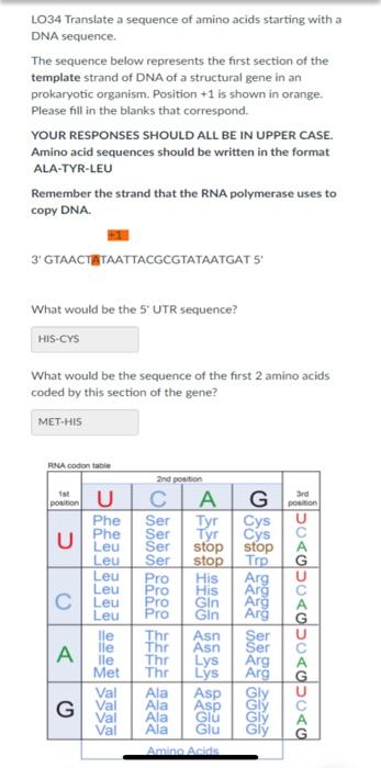 Solved What would be the sequence of the first 2 amino acids | Chegg.com