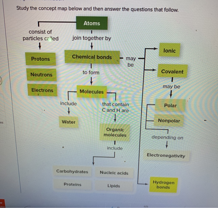 nucleic acid concept map answer key