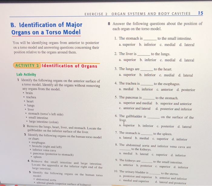 Exercise 2 An Systems And Body Cavities 15 B Chegg 