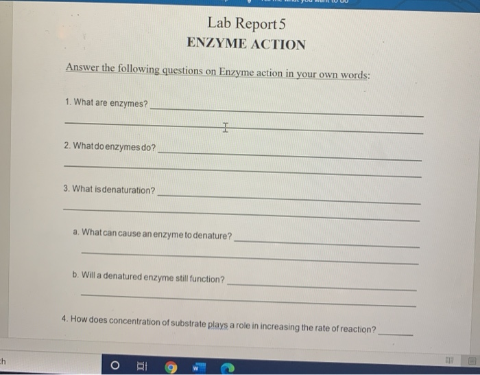 Solved Lab Report 5 ENZYME ACTION Answer the following | Chegg.com