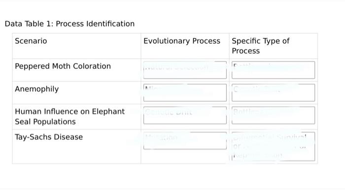 Solved Data Table 1: Process Identification | Chegg.com