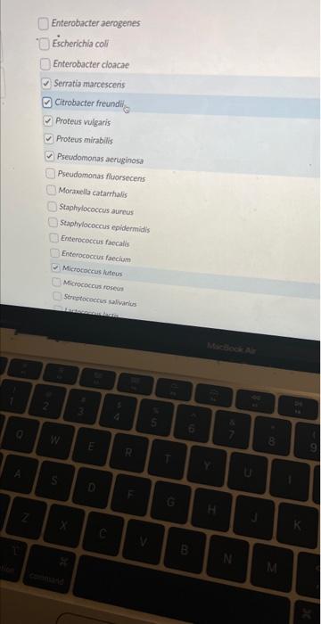 Enterobacter aerogenes
Escherichla coll
Enterobacter cloacae
Serratia marcescens
Citrobacter freundit
Proteus vulgaris
Proteu