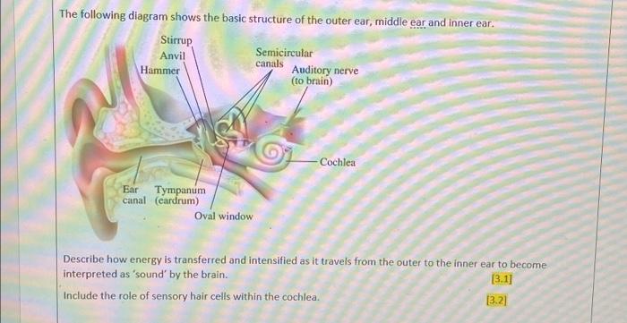 Solved The following diagram shows the basic structure of | Chegg.com