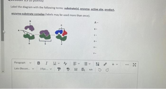 Solved Label the diagram with the following terms: | Chegg.com