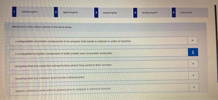 Solved holoenzyme 2 spoenzyme excenzyme endoenzyme coenzyme | Chegg.com