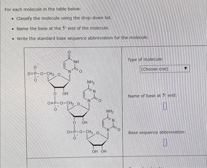 For each molecule in the table below:
- Classify the molecule using the drop-down list.
- Name the base at the 5. end of the