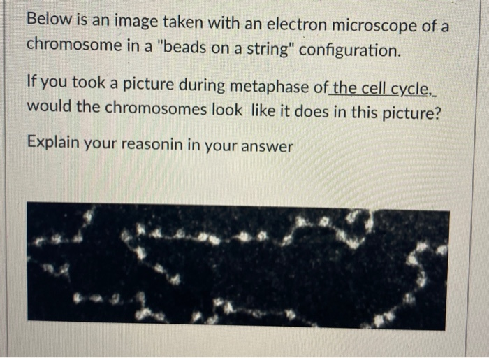 Solved Below is an image taken with an electron microscope | Chegg.com