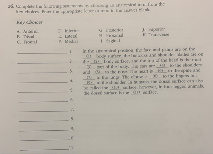 Solved 16. Complete the following statements by choosing an | Chegg.com