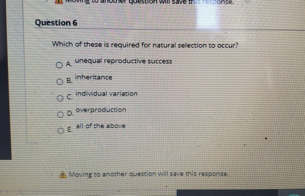 solved-question-will-save-talesponse-question-6-which-of-chegg