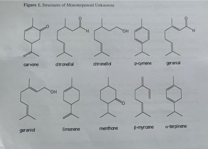 Solved Figure 1. Structures of Monoterpenoid Unknowns OH Solved Figure 1. Structures of Monoterpenoid Unknowns OH