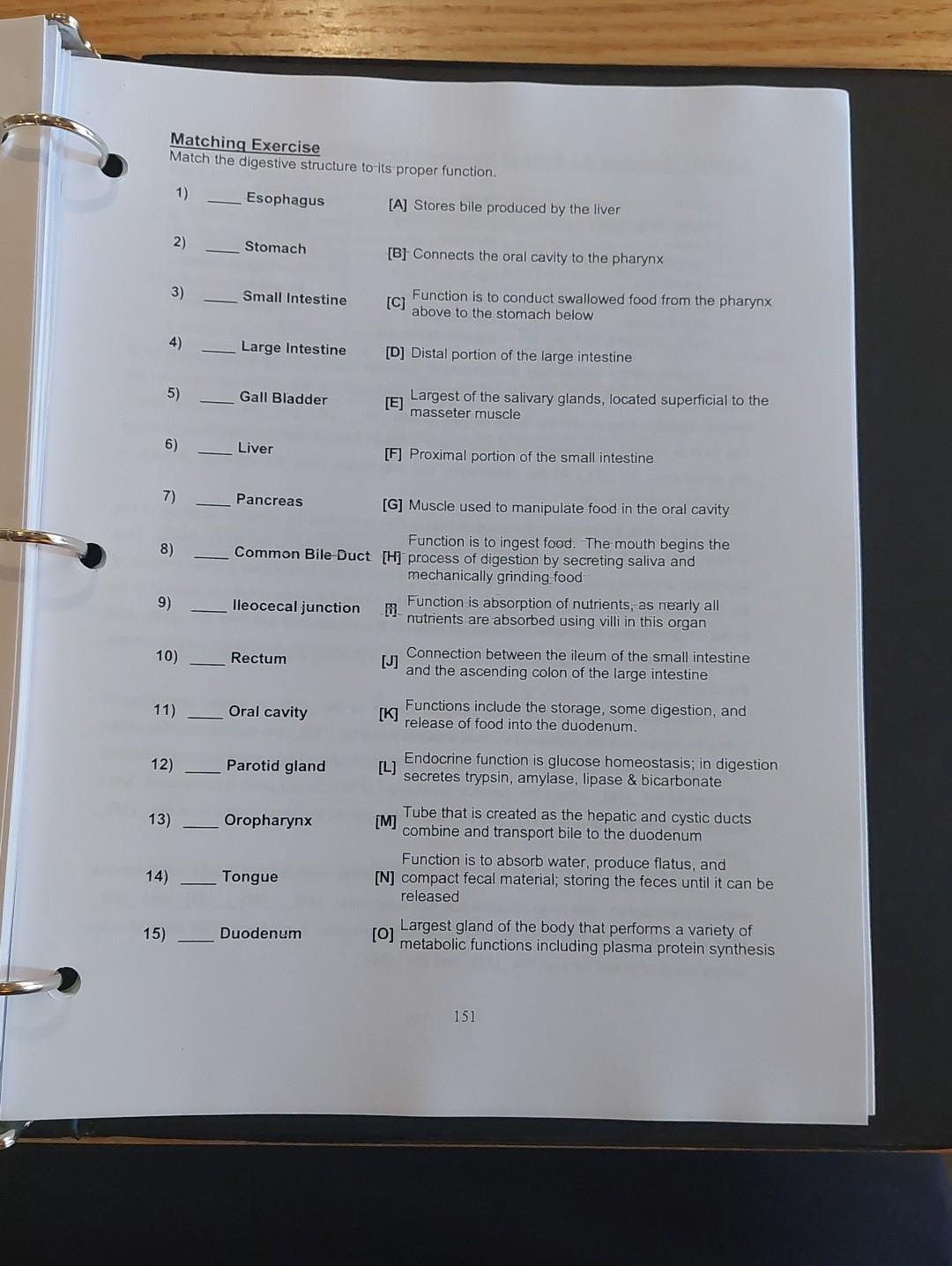 Solved Matching Exercise Match the digestive structure to | Chegg.com