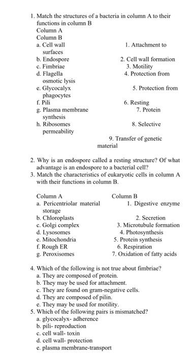 Solved 1. Match the structures of a bacteria in column A to | Chegg.com