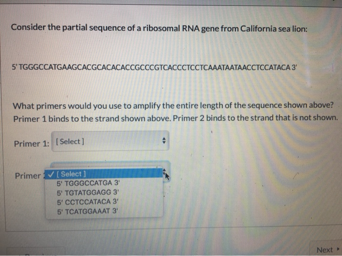 Solved Consider the partial sequence of a ribosomal RNA gene | Chegg.com
