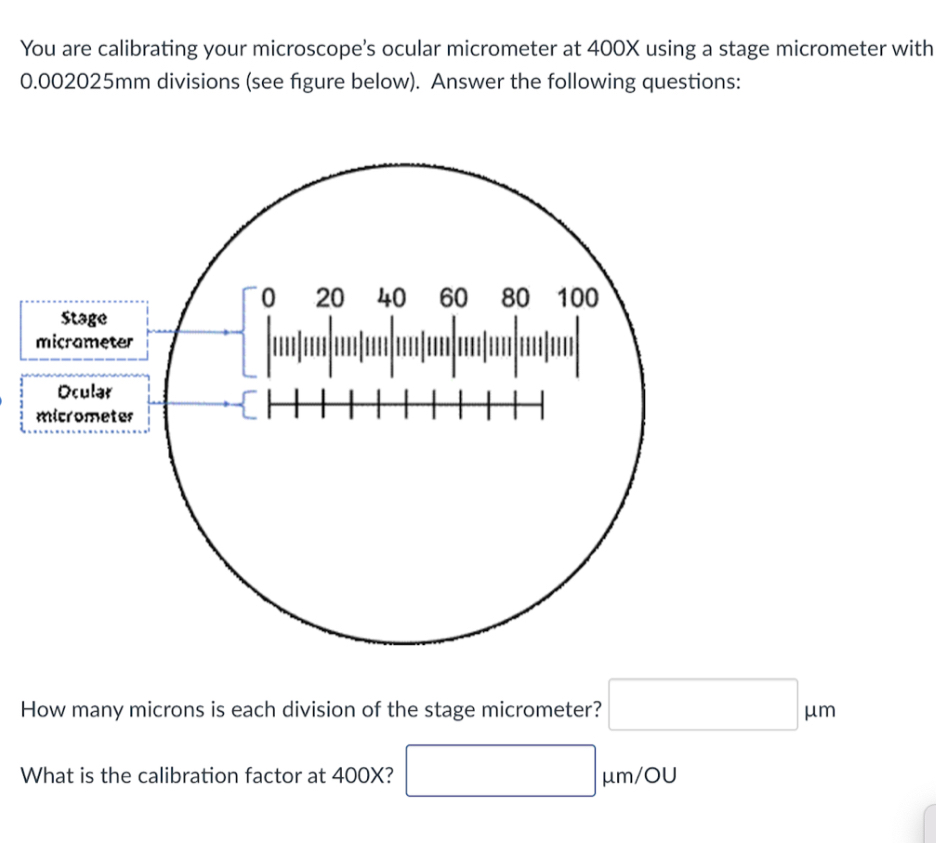 Solved You are calibrating your microscope's ocular | Chegg.com