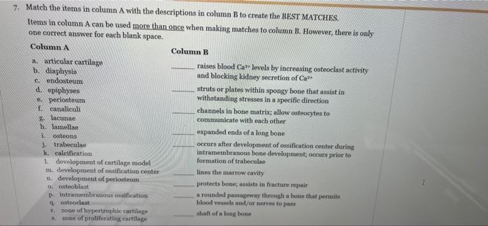Solved 7. Match the items in column A with the descriptions | Chegg.com
