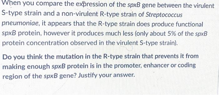 Solved Starting with a virulent S-type strain and a | Chegg.com